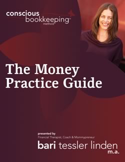 money_practice_guide_cover_250w