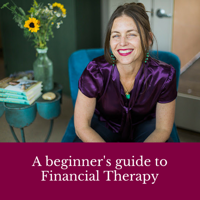 Financial Therapist