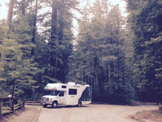 RV in redwoods (550)