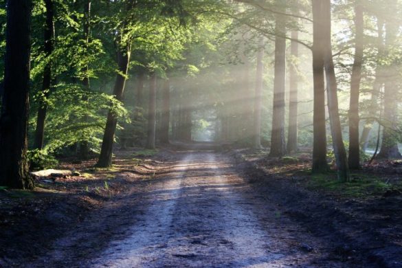 Three Gateways to Money Initiation