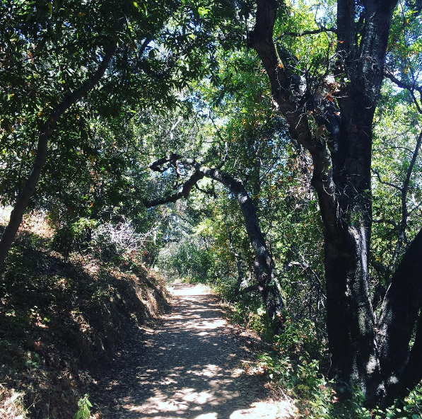 hiking in california